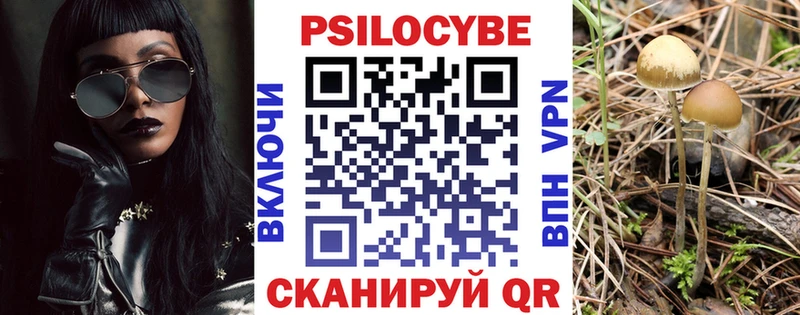 Псилоцибиновые грибы GOLDEN TEACHER Саров